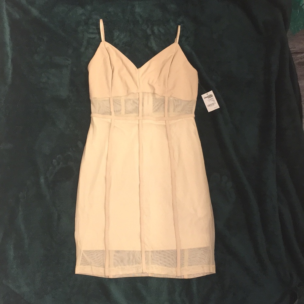 Charlotte Russe nude and sheer dress